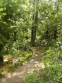 Image file: _1/photo02.jpg