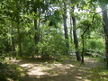 Image file: _1/photo03.jpg