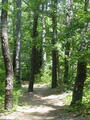 Image file: _1/photo04.jpg