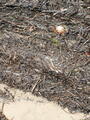 Image file: _1/photo12.jpg