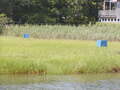 Image file: _1/photo13.jpg