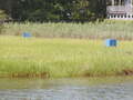 Image file: _1/photo14.jpg
