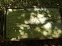Image file: photo18.jpg