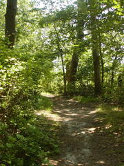 Image file: photo21.jpg
