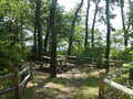 Image file: _2/photo20.jpg