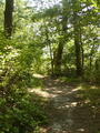 Image file: _2/photo21.jpg