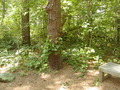 Image file: _2/photo25.jpg