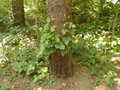 Image file: _2/photo26.jpg