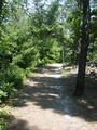 Image file: _2/photo27.jpg