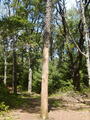 Image file: _2/photo28.jpg