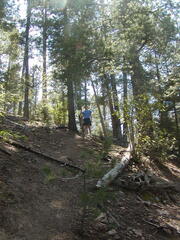 Image file: photo19.jpg