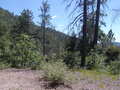 Image file: _1/photo01.jpg