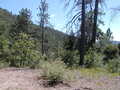 Image file: _1/photo02.jpg