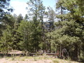 Image file: _1/photo04.jpg