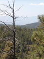 Image file: _1/photo05.jpg