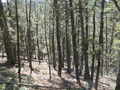 Image file: _1/photo06.jpg
