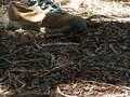 Image file: _1/photo09.jpg