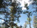 Image file: _1/photo10.jpg