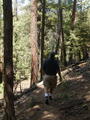 Image file: _1/photo12.jpg