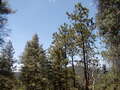 Image file: _1/photo14.jpg