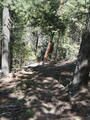 Image file: _1/photo15.jpg