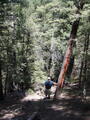 Image file: _1/photo16.jpg