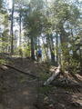 Image file: _1/photo19.jpg