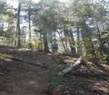 Image file: _1/photo20.jpg