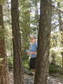 Image file: _1/photo22.jpg