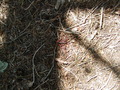 Image file: _1/photo24.jpg
