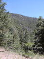 Image file: _2/photo25.jpg
