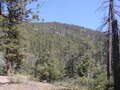 Image file: _2/photo28.jpg