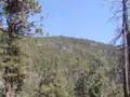 Image file: _2/photo29.jpg