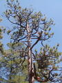 Image file: _2/photo30.jpg