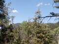 Image file: _2/photo31.jpg