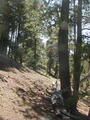 Image file: _2/photo35.jpg