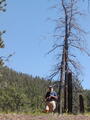 Image file: _2/photo37.jpg