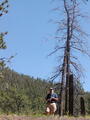 Image file: _2/photo38.jpg