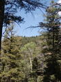 Image file: _2/photo40.jpg