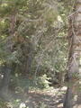 Image file: _2/photo45.jpg