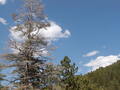 Image file: _2/photo46.jpg