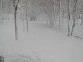 Image file: photo08.jpg