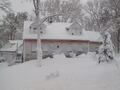 Image file: photo11.jpg