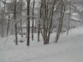 Image file: photo13.jpg