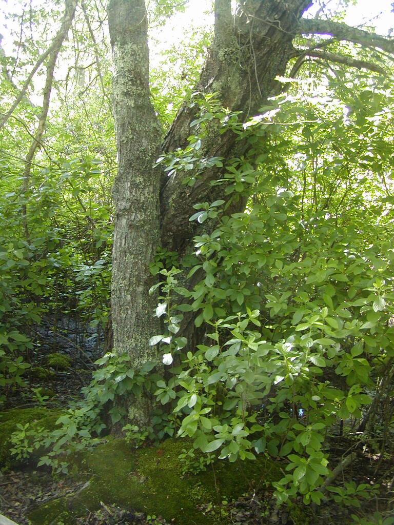 No description provided for: /2009/0715-fort-hill/_3/photo56.html