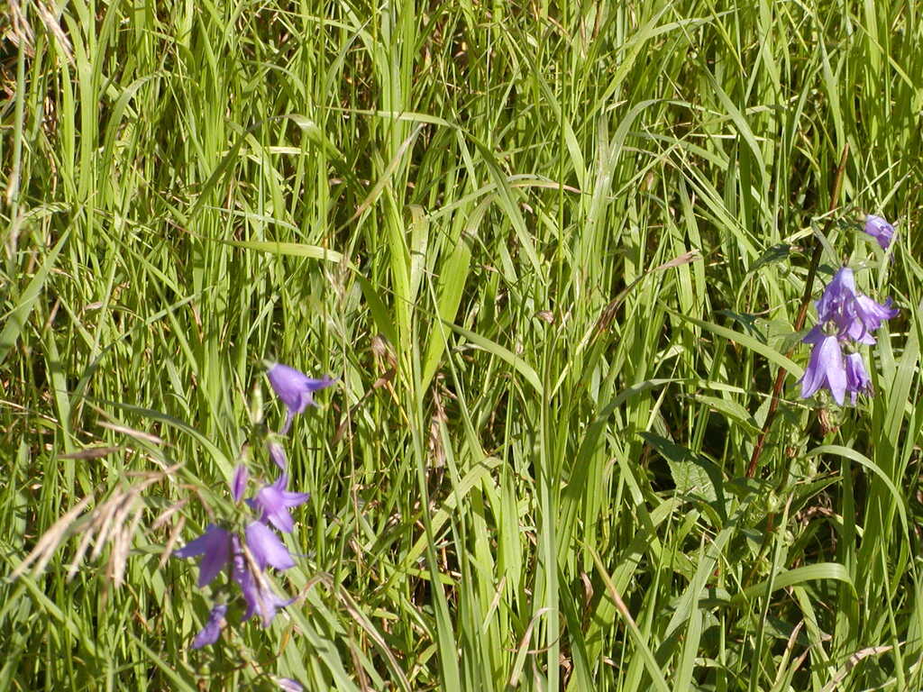 No description provided for: /2009/0715-fort-hill/_4/photo80.html