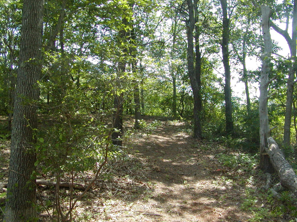 No description provided for: /2009/0715-jkenrick-woods/_2/photo24.html