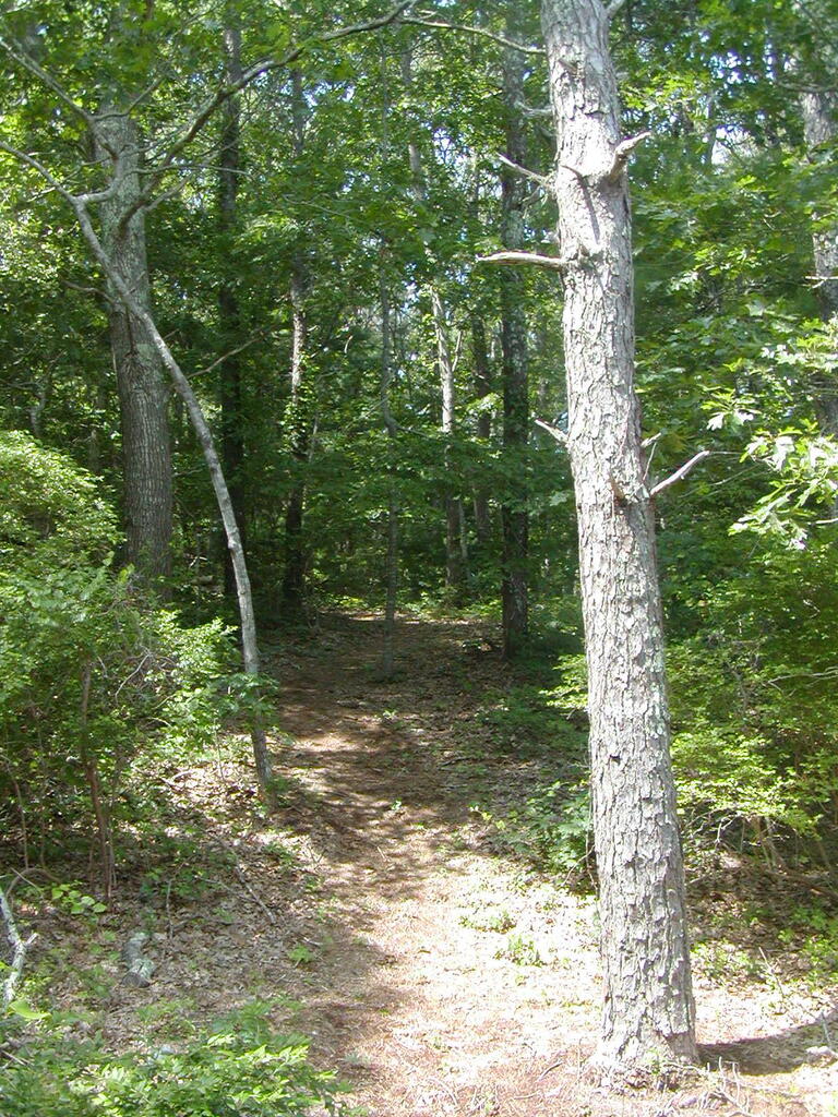 No description provided for: /2009/0715-jkenrick-woods/_2/photo25.html
