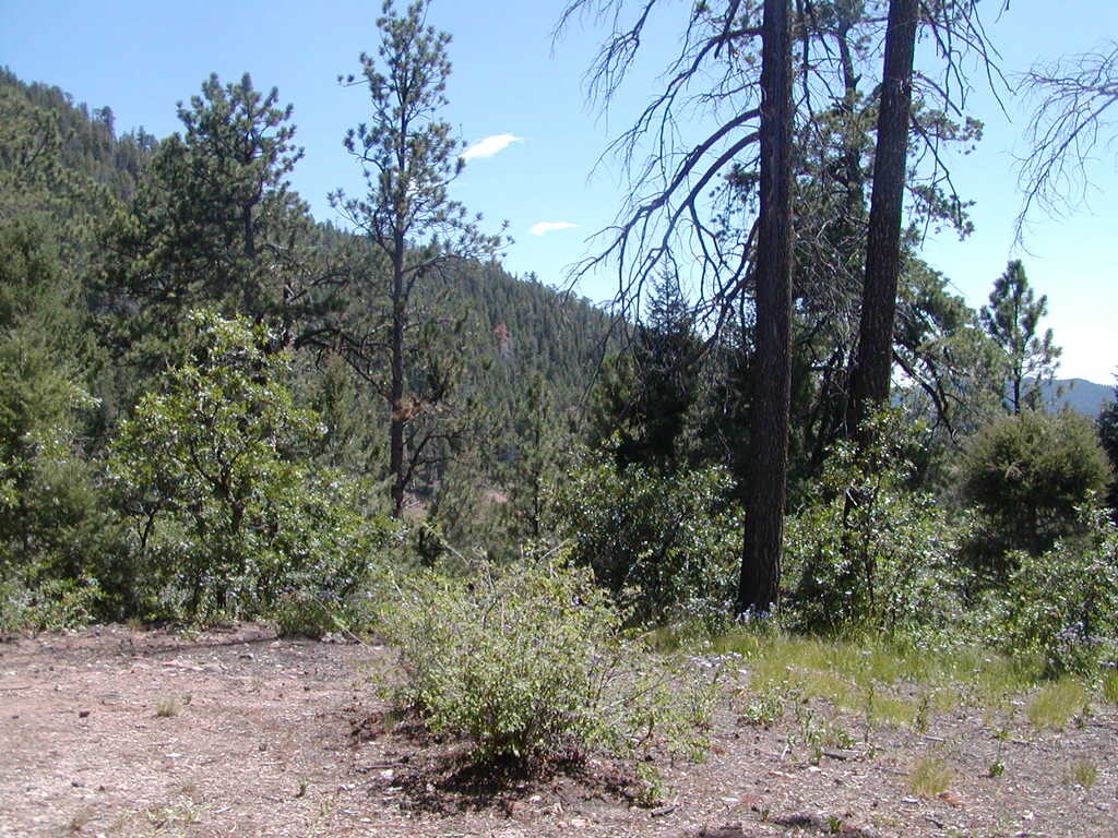 No description provided for: /2009/0810-new-mexico/_1/photo02.html