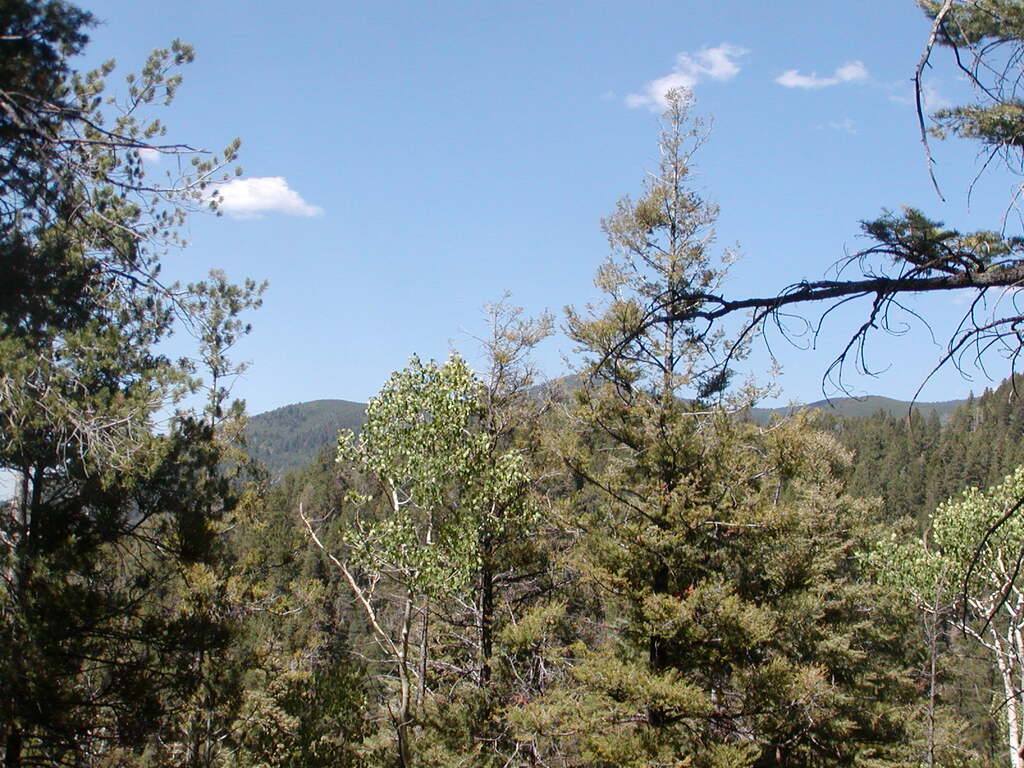No description provided for: /2009/0810-new-mexico/_2/photo31.html